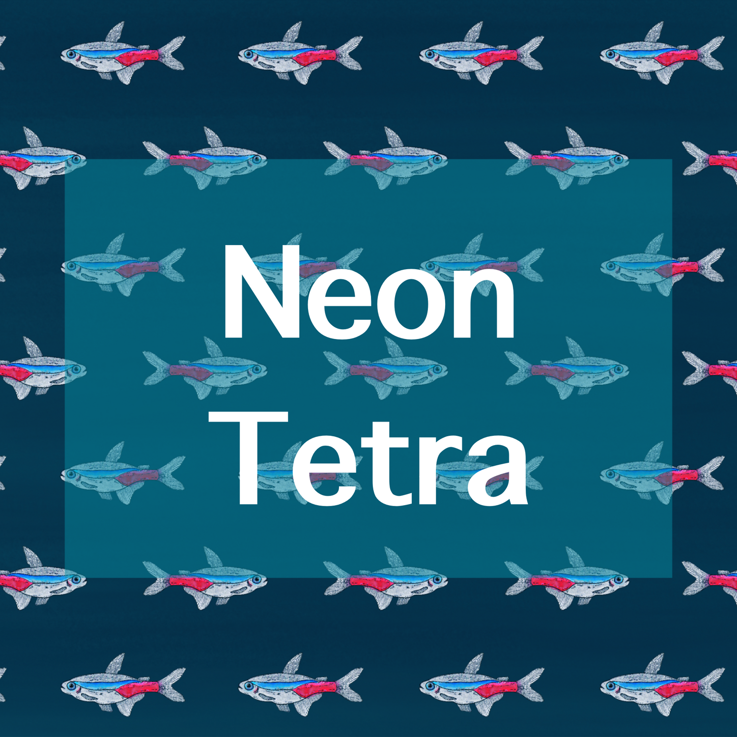 Neon Tetra
