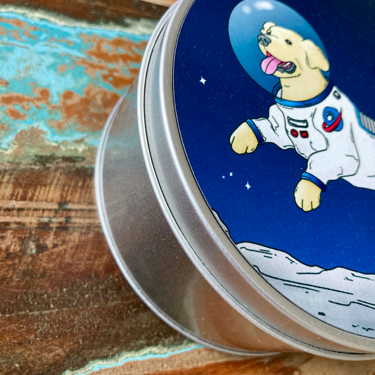 Moon Walkies Astronaut Dog Trinket Tin