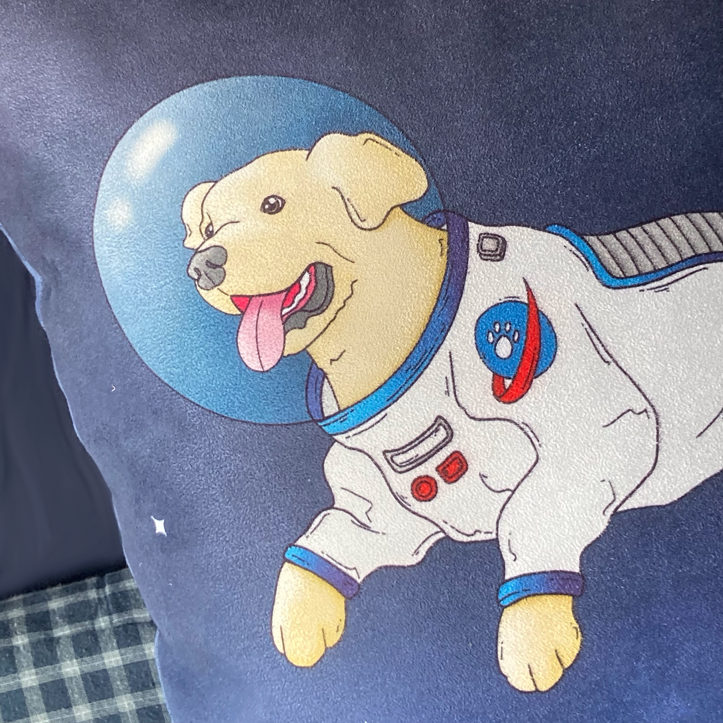 Moon Walkies Astronaut Dog Cushion